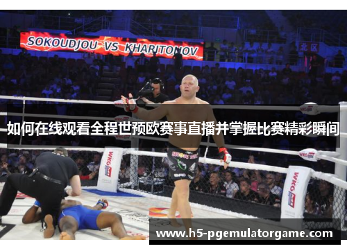 如何在线观看全程世预欧赛事直播并掌握比赛精彩瞬间