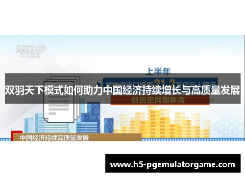 双羽天下模式如何助力中国经济持续增长与高质量发展