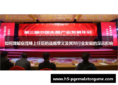 如何理解宿茂臻上任后的战略意义及其对行业发展的深远影响