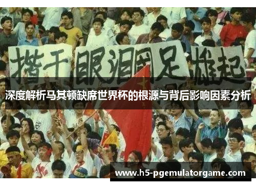 深度解析马其顿缺席世界杯的根源与背后影响因素分析