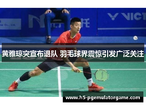 黄雅琼突宣布退队 羽毛球界震惊引发广泛关注