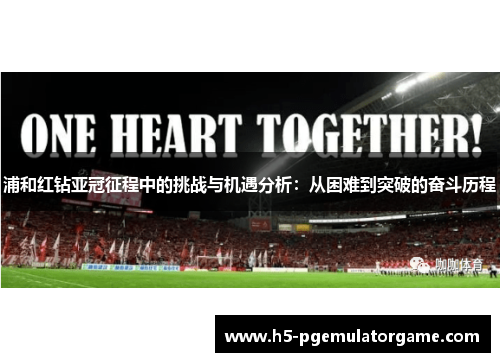 浦和红钻亚冠征程中的挑战与机遇分析：从困难到突破的奋斗历程