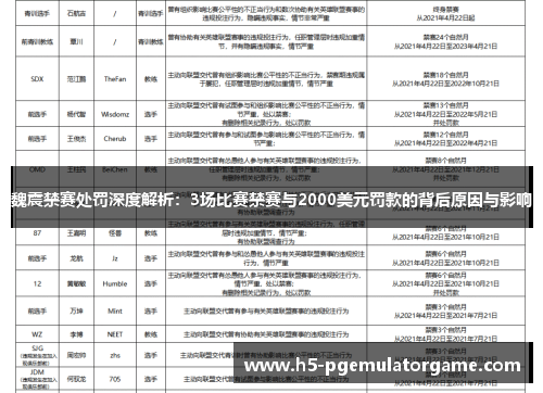 魏震禁赛处罚深度解析：3场比赛禁赛与2000美元罚款的背后原因与影响