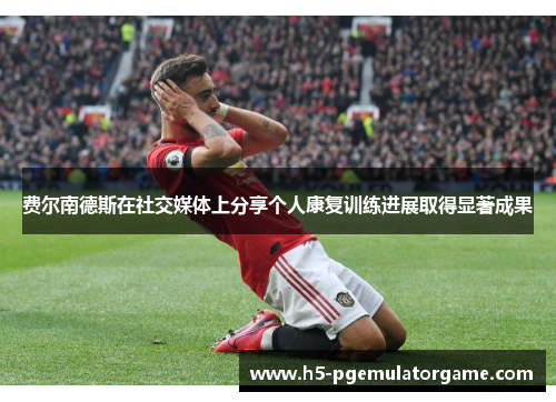 费尔南德斯在社交媒体上分享个人康复训练进展取得显著成果